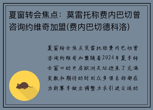 夏窗转会焦点：莫雷托称费内巴切曾咨询约维奇加盟(费内巴切德科洛)