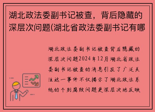 湖北政法委副书记被查，背后隐藏的深层次问题(湖北省政法委副书记有哪几位)